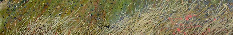 terry hird = artist - sample strip